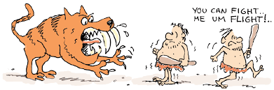 Fight Flight