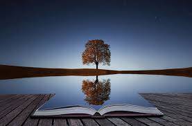 Water Reflection